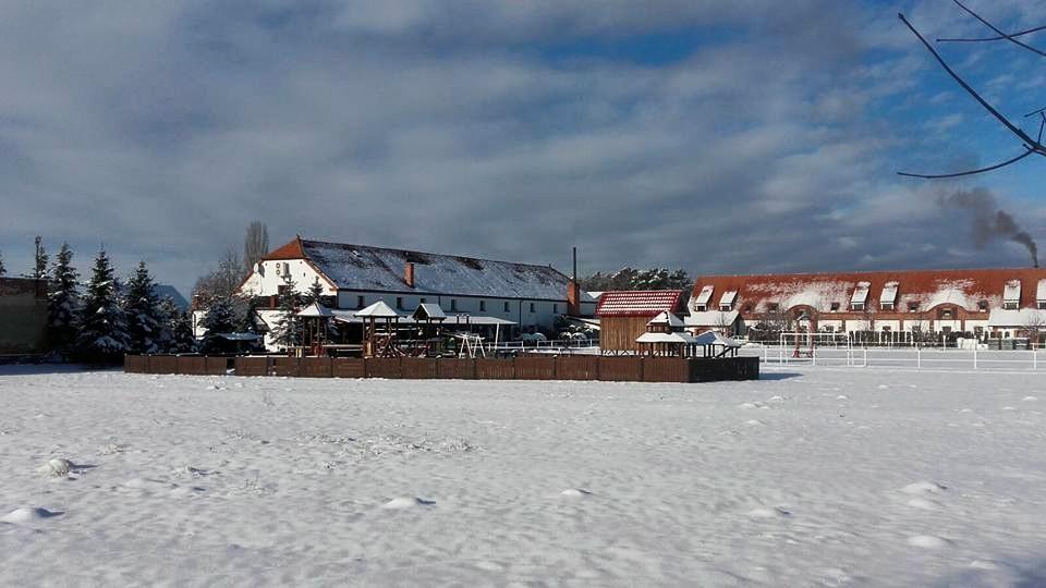 Hotel Stara Stajnia Pleszew Buitenkant foto