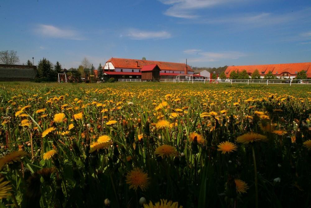 Hotel Stara Stajnia Pleszew Buitenkant foto